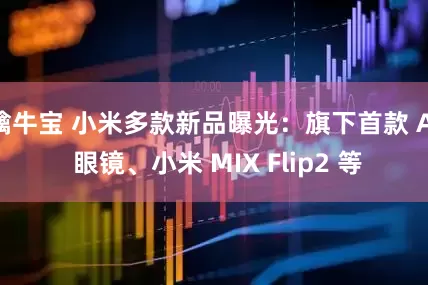 擒牛宝 小米多款新品曝光：旗下首款 AI 眼镜、小米 MIX Flip2 等