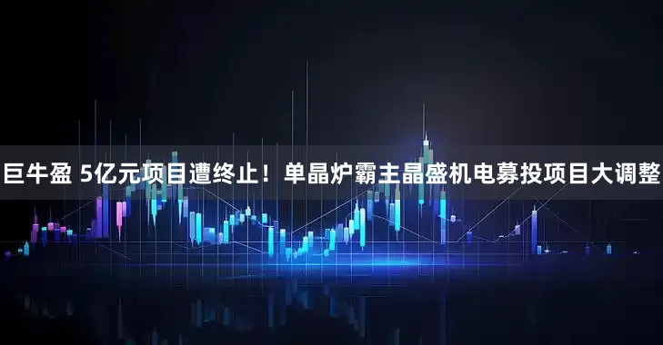 巨牛盈 5亿元项目遭终止！单晶炉霸主晶盛机电募投项目大调整