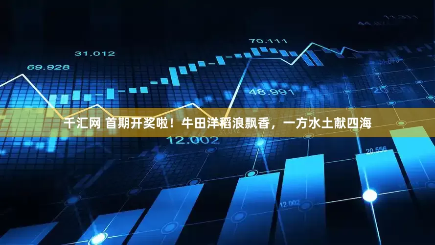 千汇网 首期开奖啦！牛田洋稻浪飘香，一方水土献四海